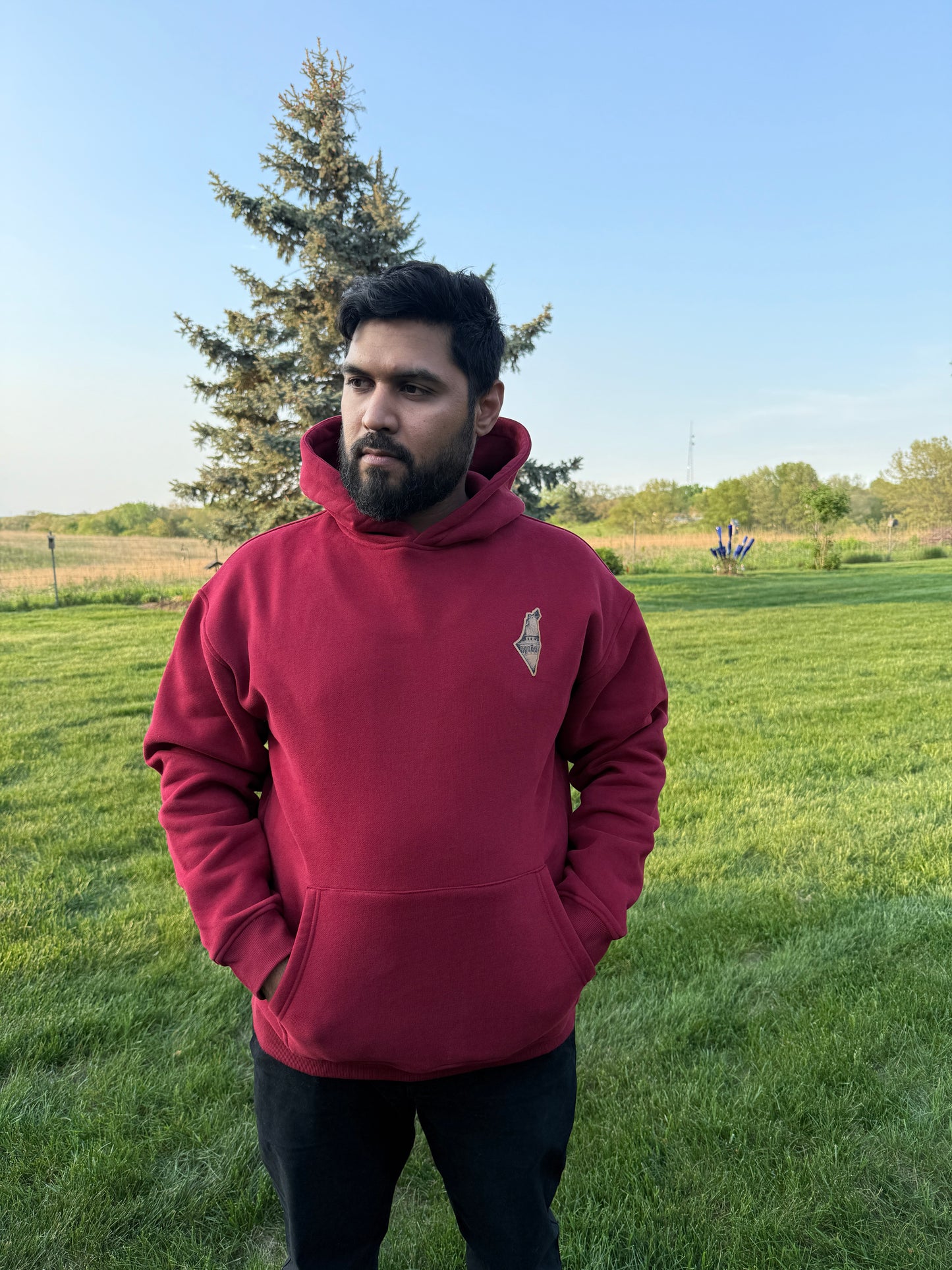 Palestine Hoodie