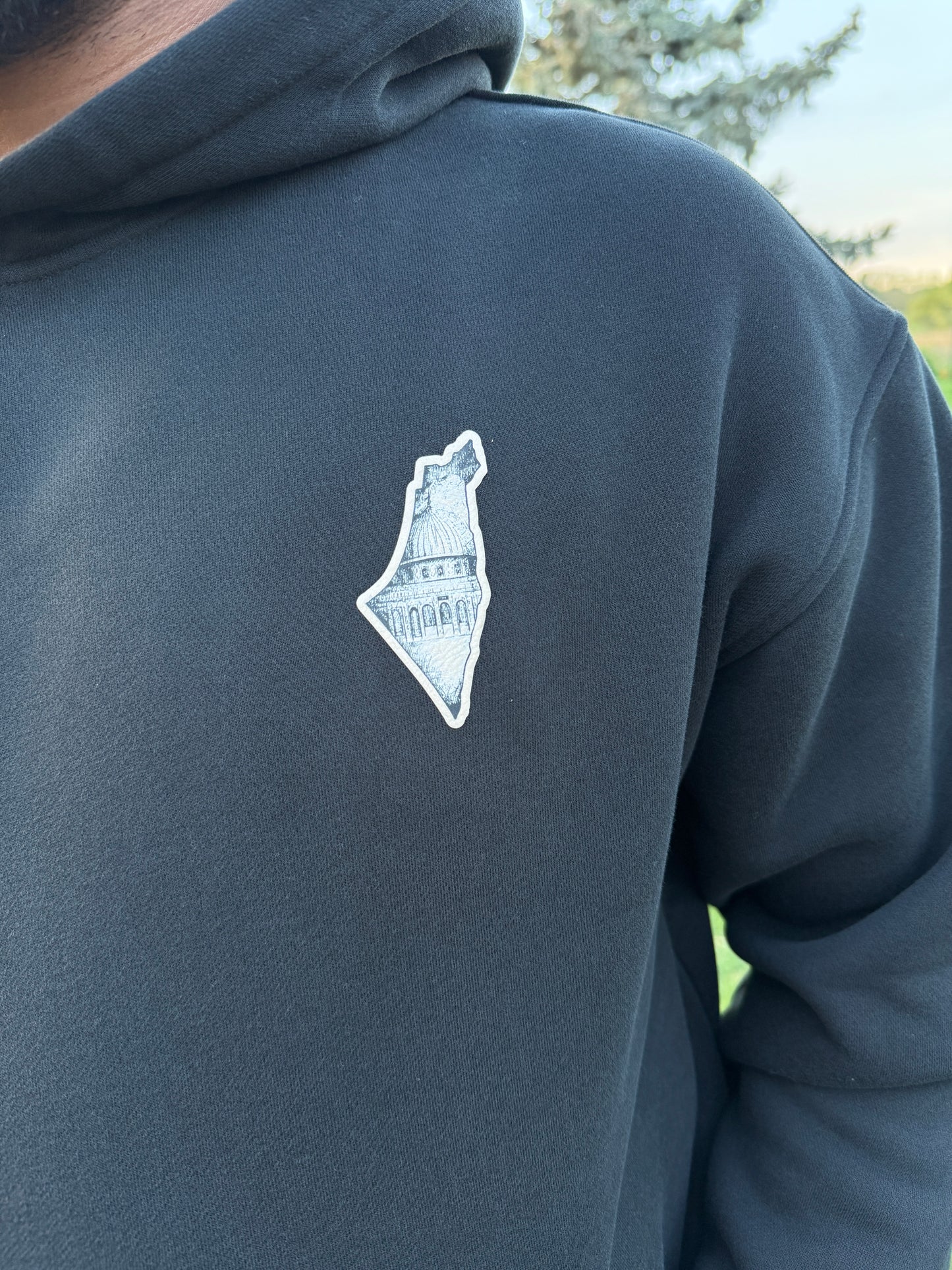 Palestine Hoodie